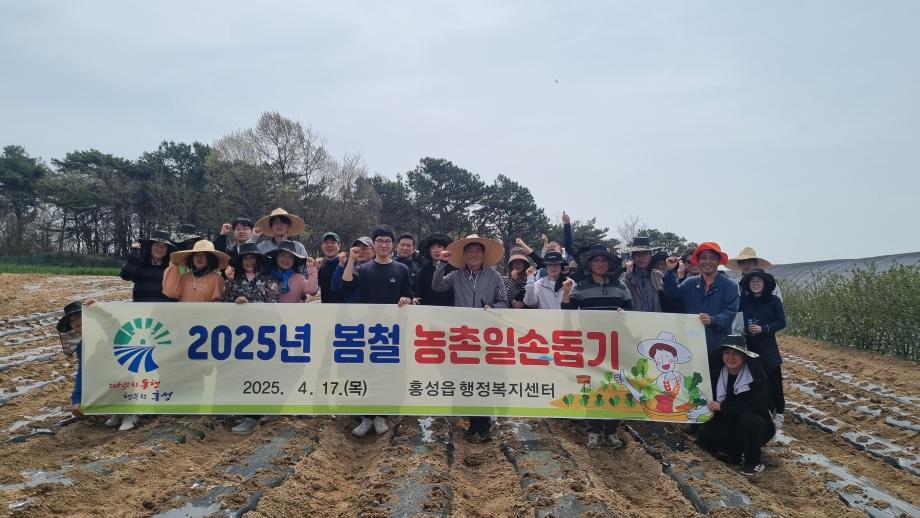 홍성읍, 봄철 농촌일손 돕기 실시 이미지