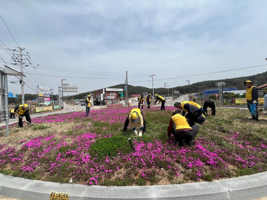 대한노인회 서부면분회, 깨끗한 서부면 만들기에 앞장 이미지