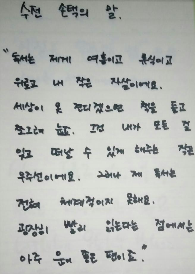 수전 손택의 말 이미지