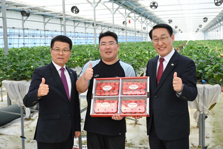 프리미엄 신품종딸기 골드베리 품종설명회 이미지
