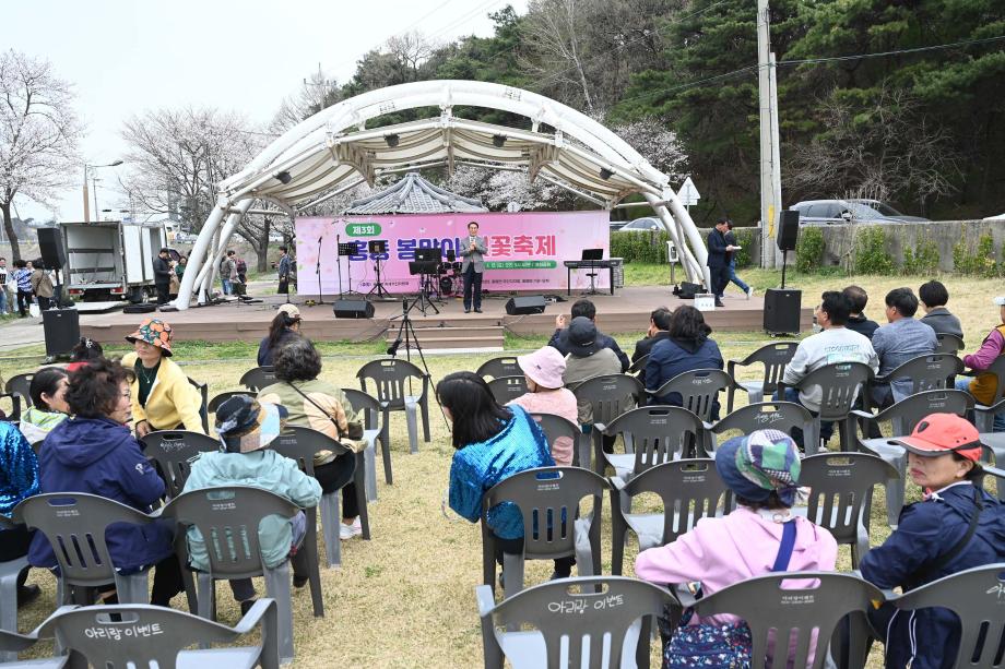 봄맞이 벚꽃축제 이미지