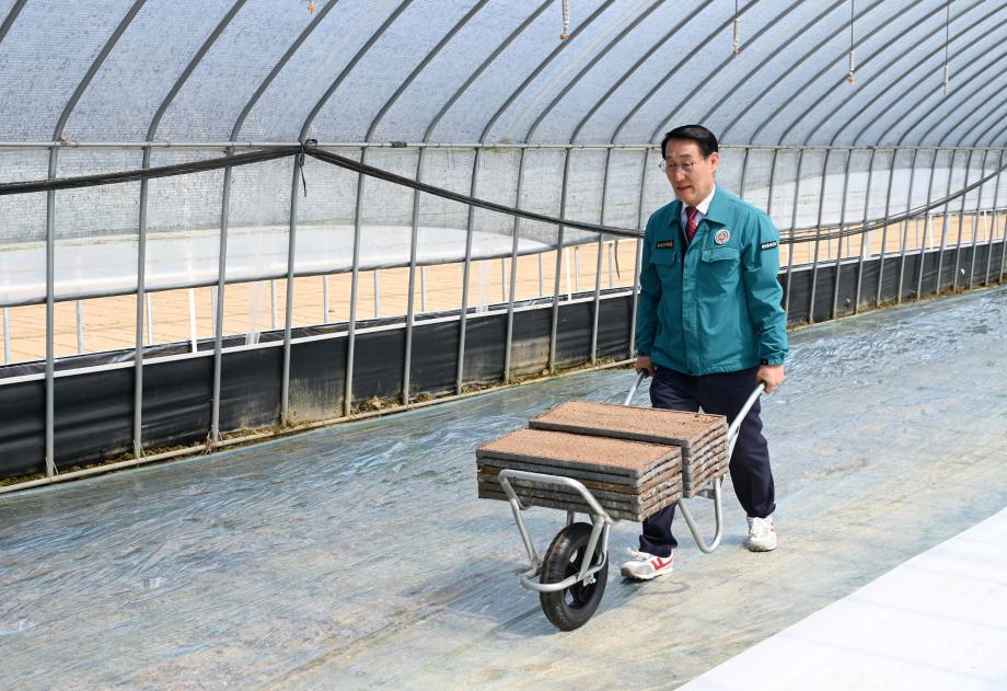 벼 육묘 공동과제포 파종 이미지
