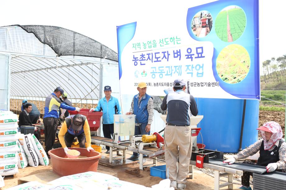 농촌지도자홍성군연합회 벼 육묘 공동과제포 설치 이미지