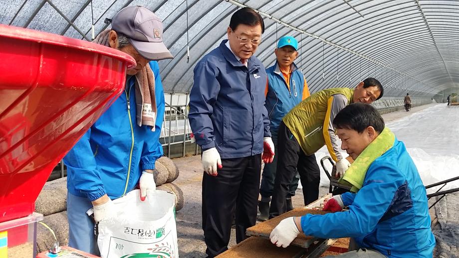 농촌지도자 홍성군연합회 벼 육묘 공동과제활동 파종작업 이미지