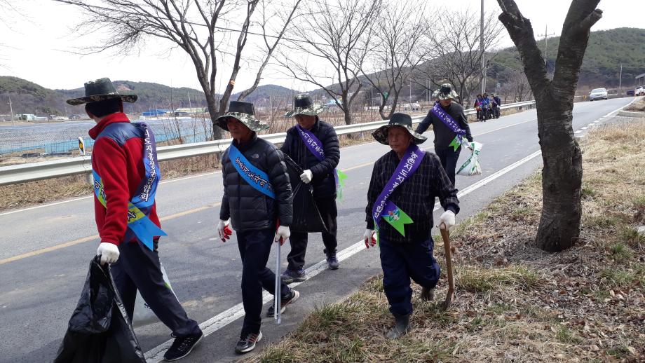 농촌지도자 벚꽃거리 가꾸기 행사2019-3-18 이미지