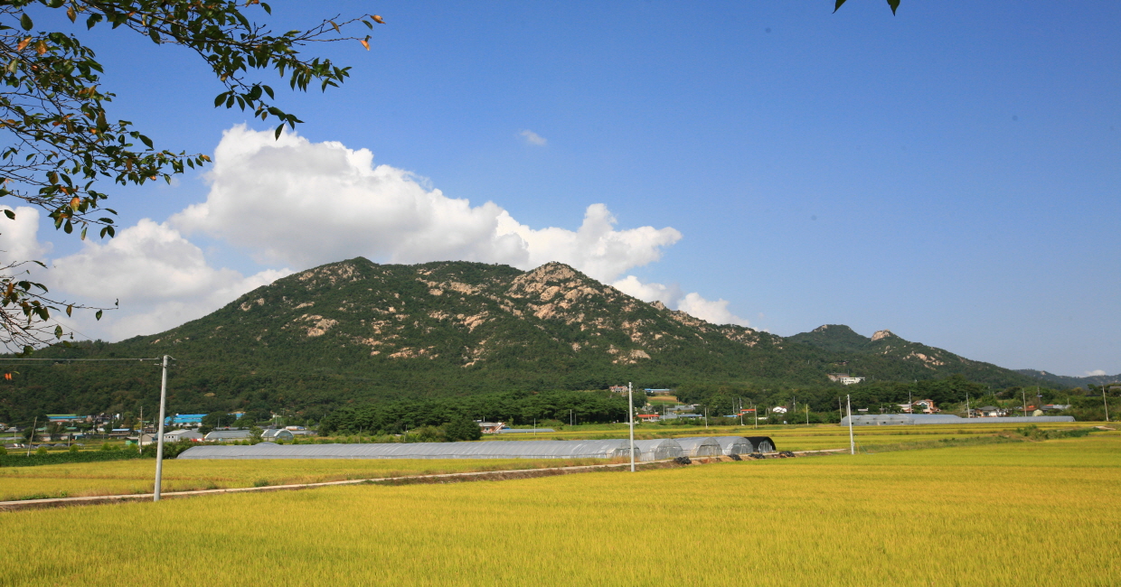 용봉산자연휴양림5