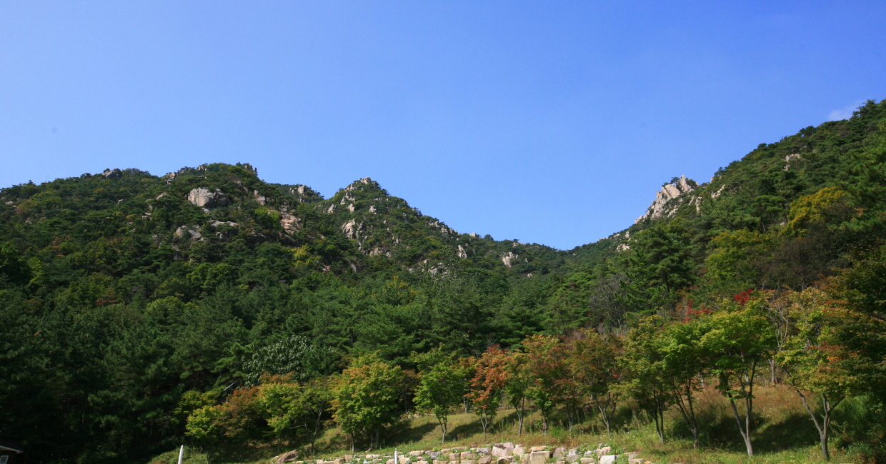 용봉산자연휴양림6