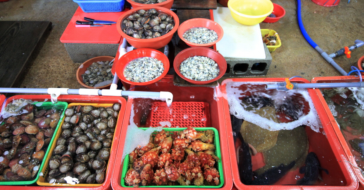 홍성남당항 새조개와 함께하는 수산물 축제0