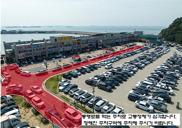 홍성남당항대하축제3